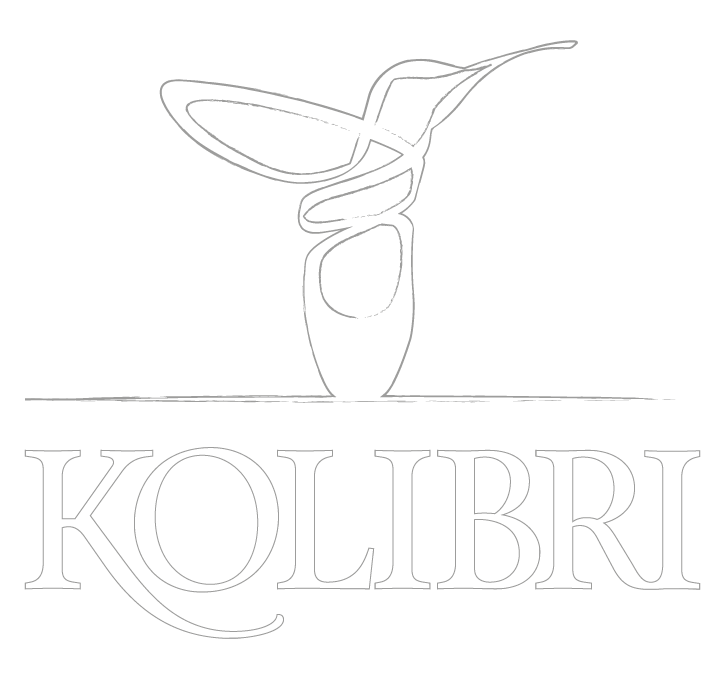 kolibri Skizze